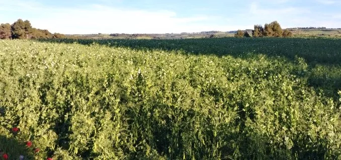 Venta de finca ganadera en Tarragona
