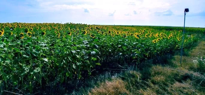 Venta de Explotación agrícola en Huesca
