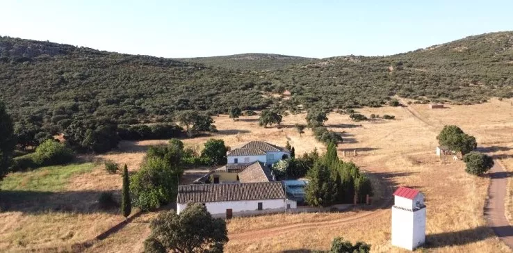 Venta de Finca mixta ganadera y de caza en Ciudad Real