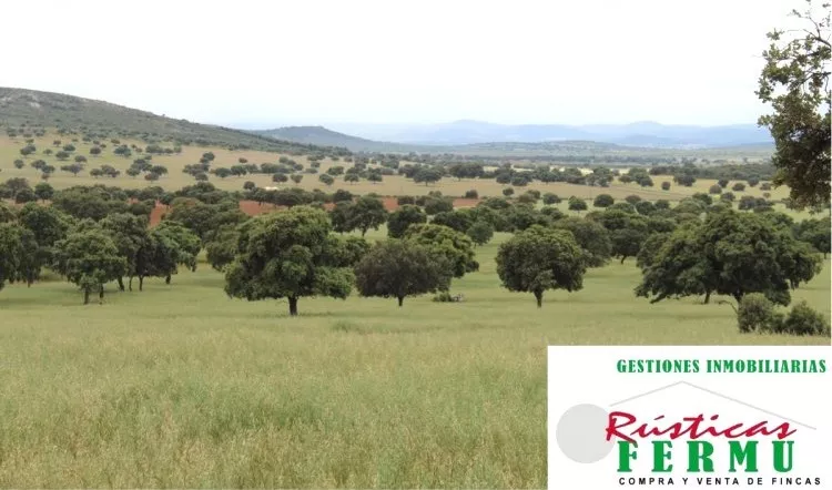 Venta de Finca de labor y monte en Ciudad Real