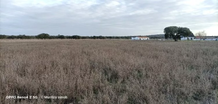 Venta de Finca de recreo en Badajoz