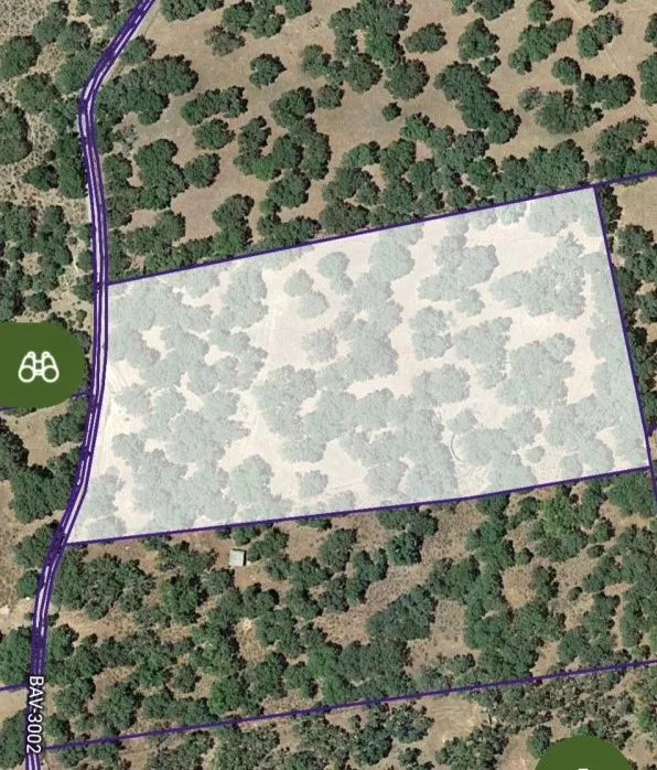Venta de Finca de secano con encinas en Badajoz