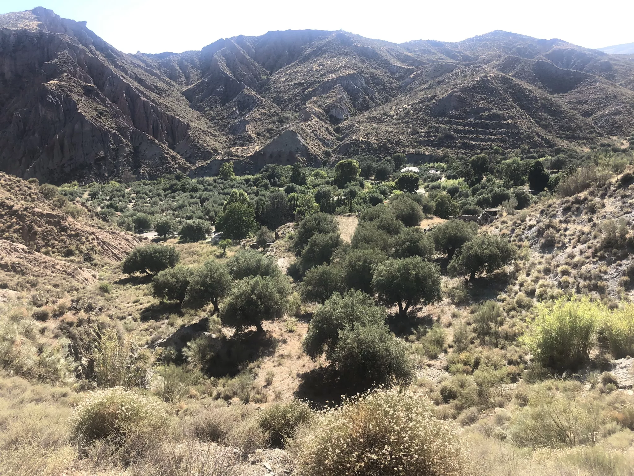 FINCA EN ALPUJARRA GRANADINA