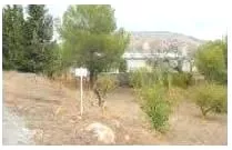Venta de Finca de almendros con vivienda en Murcia