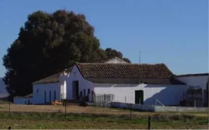 GRAN FINCA MIXTA, AGICOLA Y GANADERA EN CORDOBA