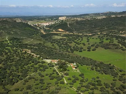 BUENA FINCA MIXTA GANADERA Y CAZA