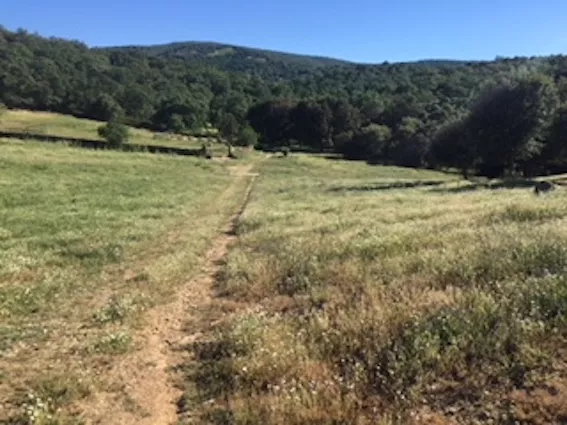 FINCA DE RECREO CAZA Y GANADERA EN CACERES