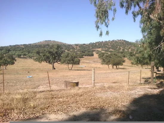 GRAN FINCA GANADERA DE 1500 HAS EN JAEN