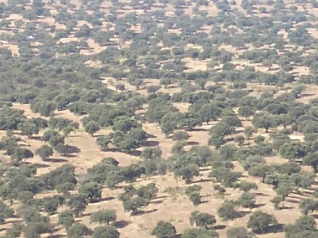 FINCA GANADERA Y DE LABOR EN CACERES