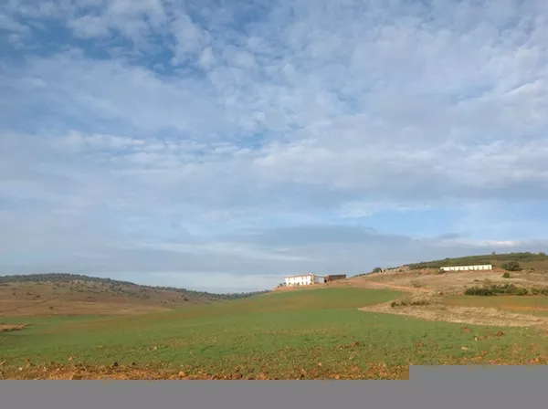 PRECIOSA FINCA DE RECREO Y AGRICOLA EN BADAJOZ