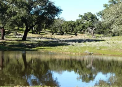 PRECIOSA FINCA AGRICOLA, GANADERA Y CINEGETICA EN BADAJOZ