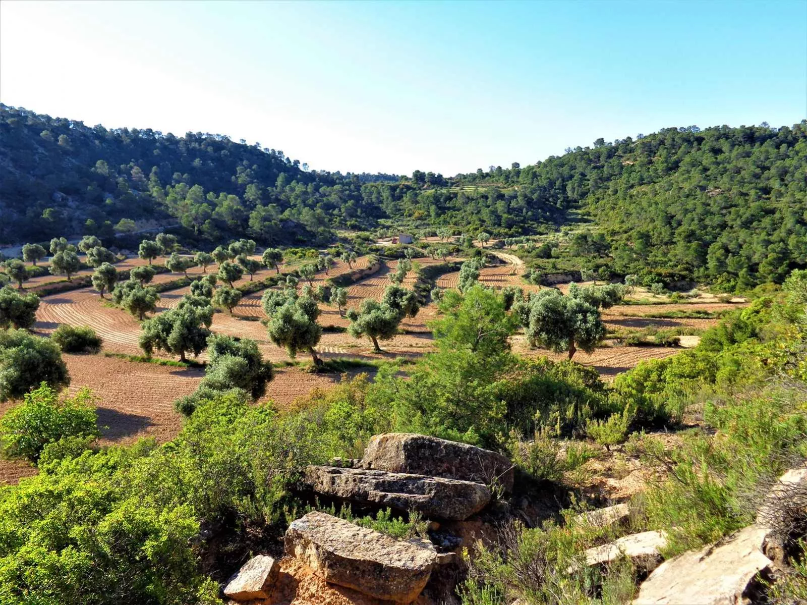Finca en venta en Maella