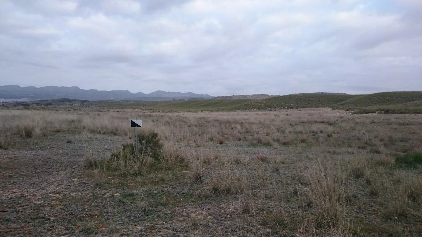 Finca en venta en Abarán