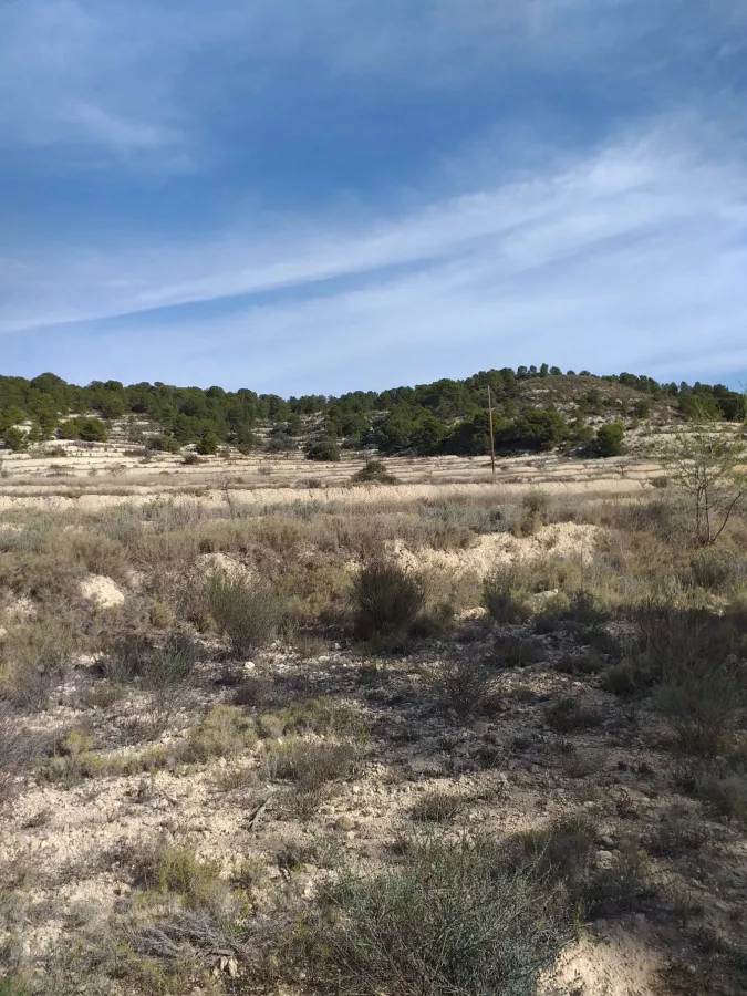 finca secano