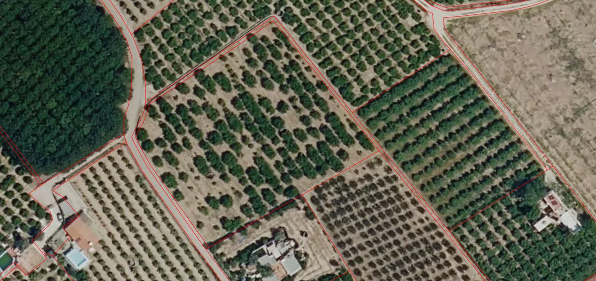 Terreno con instalación de goteo