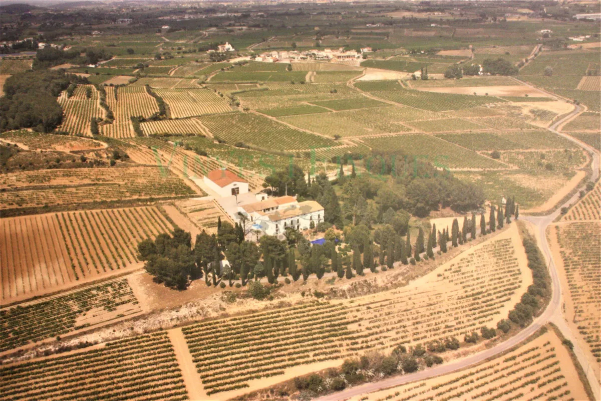 Masia noble rural con bodega y viñedo eco.