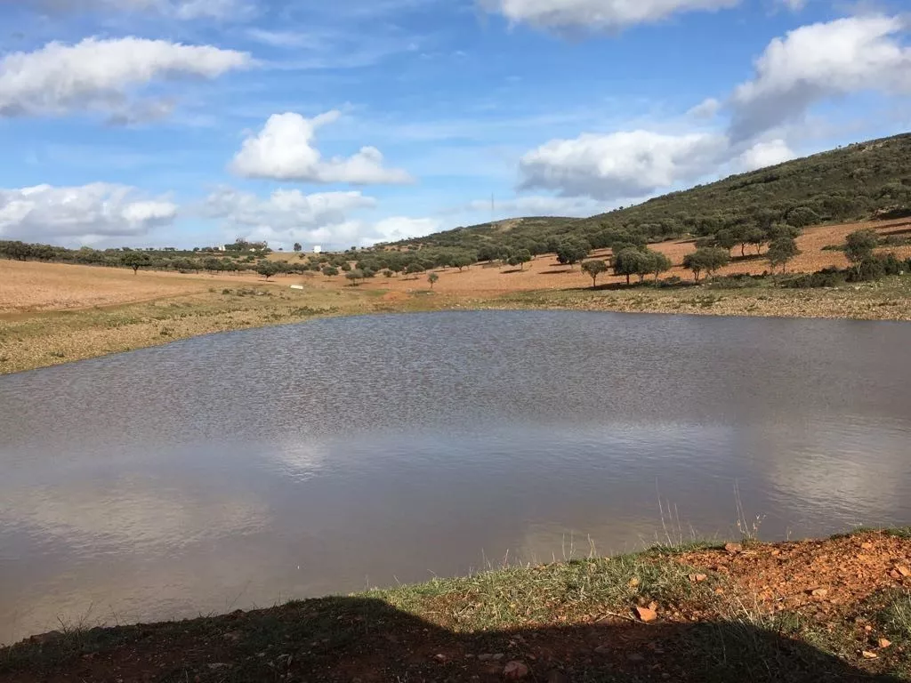 Finca de caza en Ciudad Real
