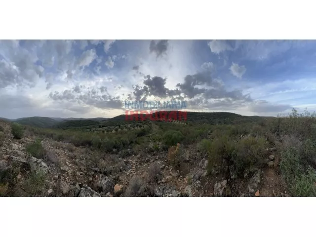 Finca de 145ha en Castañar de Ibor