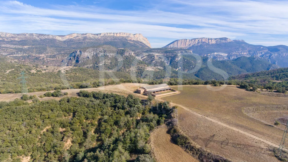 Finca Forestal, Agrícola y Cinegética, Huesca