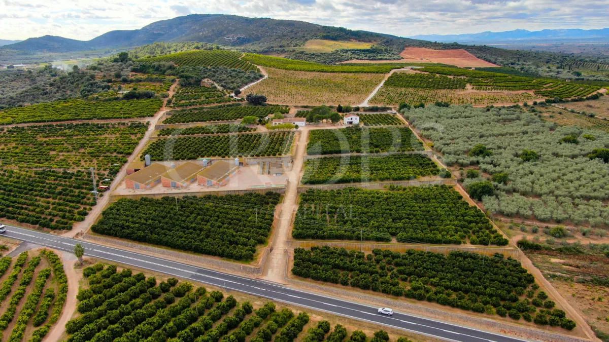 Finca de Ocio, Agrícola y Ganadera, Tarragona