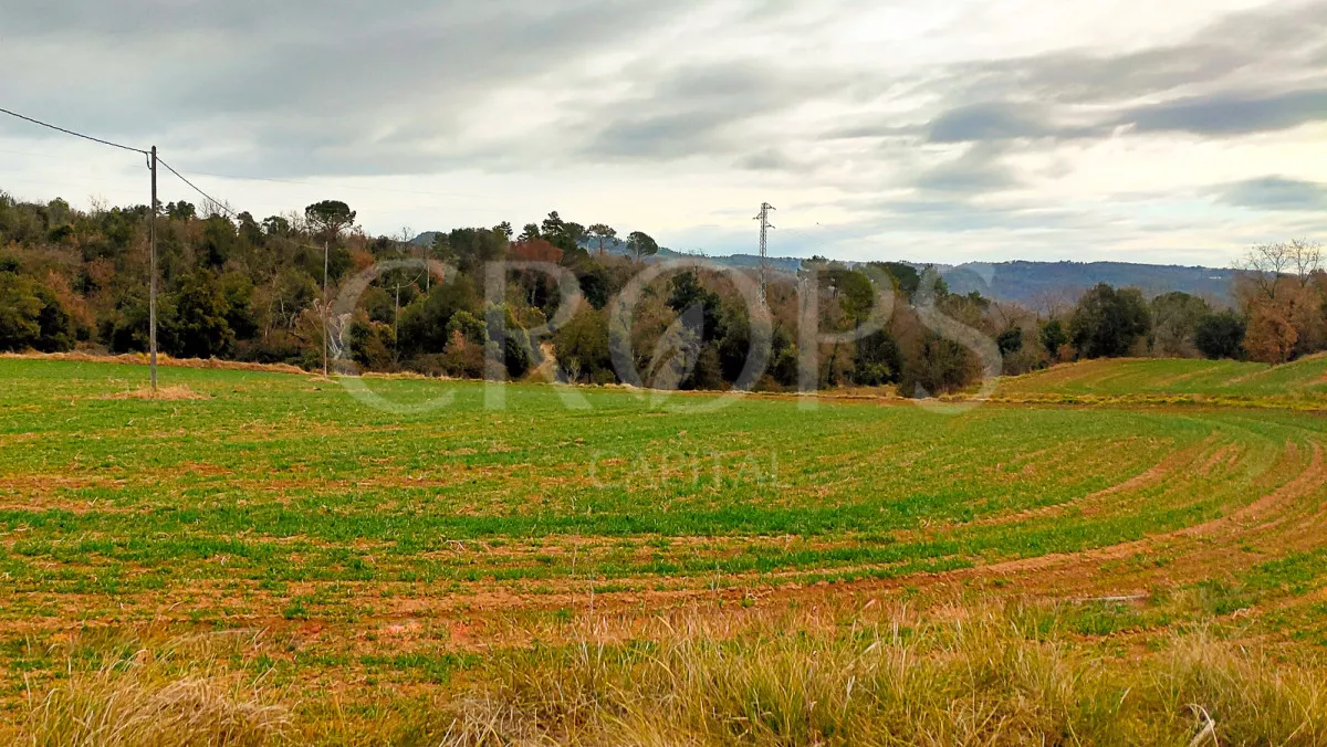 Finca de ocio-forestal en Barcelona