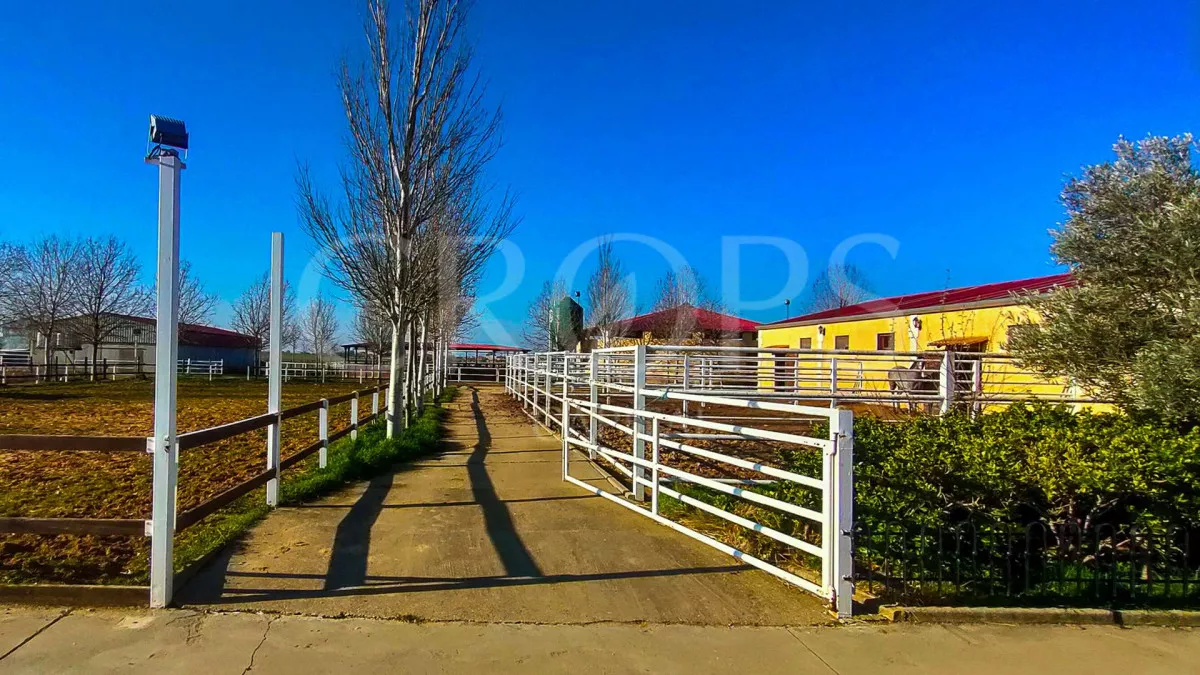 Finca Ecuestre en la provincia de Zamora