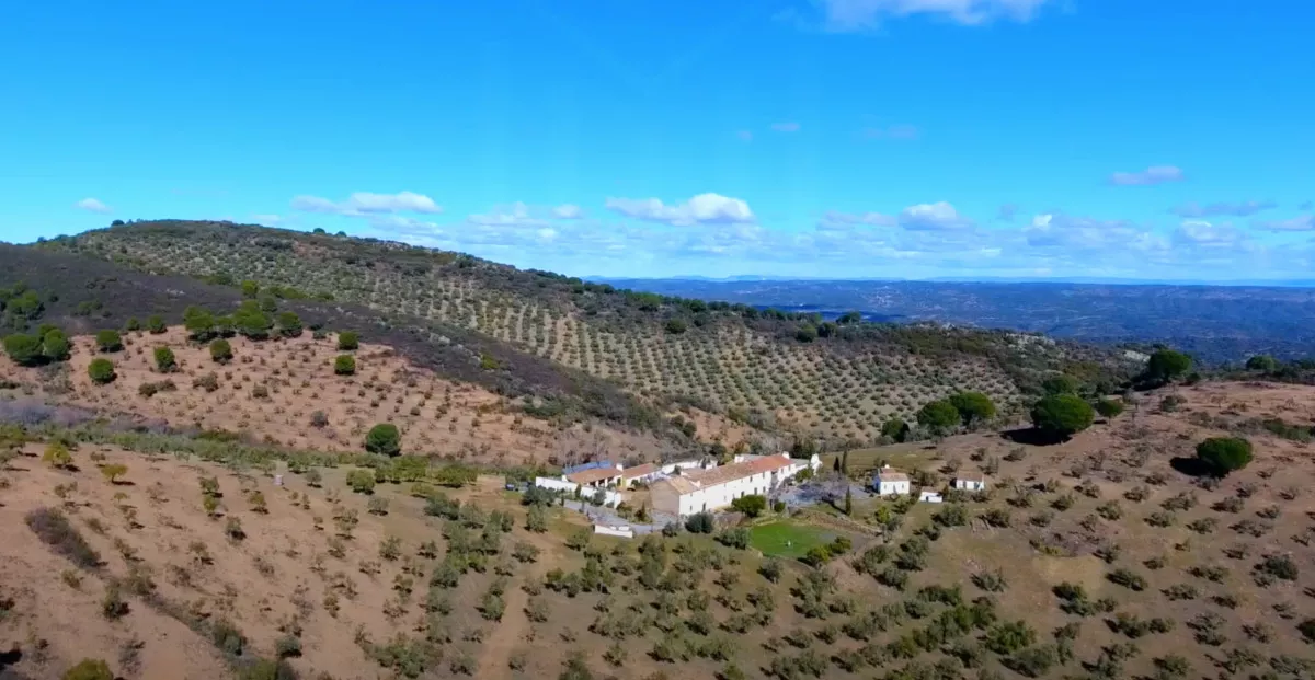 PRECIOSA FINCA CORTIJO DE OLIVAR Y OCIO