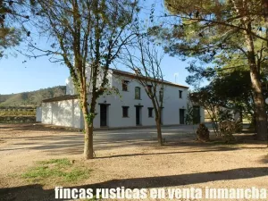 finca en venta inmancha 82 has. viña riego