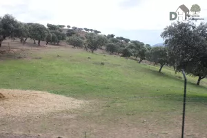 PRECIOSA FINCA CON IMPRESIONANTE CORTIJO
