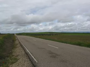 Finca 56 has Viña, Labor, Proyecto Olivos ECO