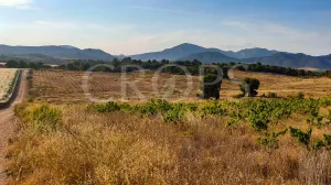 Finca agrícola en Murcia