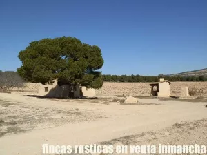 finca en venta 9 has viña en vaso Caserío