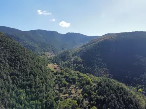 FINCA FORESTAL EN EL PREPIRINEO