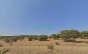 FINCA DEHESA. REF.150
