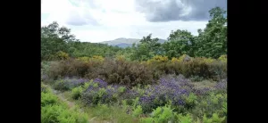 Finca Valle del Jerte