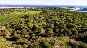 Terreno para un camping u hotel rural en Huel