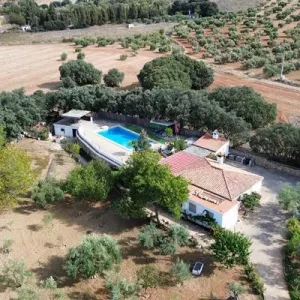 Finca Ronda