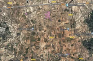 Finca regadío 10 hectáreas en Valencia