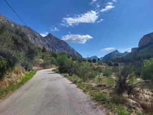 FINCA DE 30 Ha A 20KMS DE BENIDORM