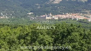 136 ha 1500m² Construidos. Recreo y Ganadera