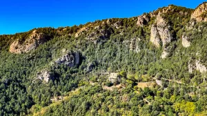 Finca forestal y cinegética con varias masías