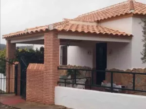 finca  pequeña de olivos