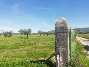 Se vende PRADO en Arroyomolinos, CÁCERES.