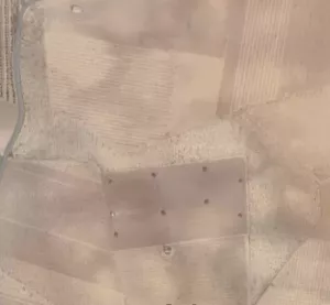 4,7 Has de viña de secano en vaso en Herencia