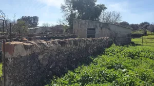 Finca 3 ha de dehesa en Salvaleón, Badajoz