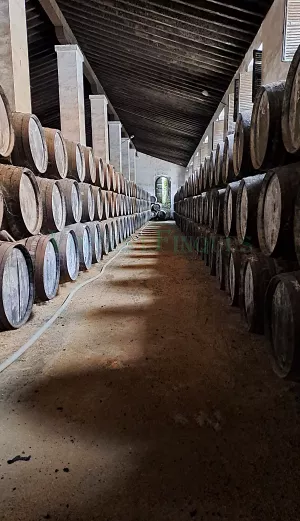 Bodega de vinos, brandy DO Jerez