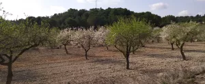 Finca de 108ha en explotación y casa de campo