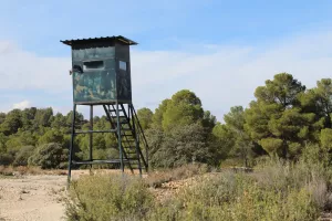 Finca recreo y caza menor Albacete Ref. 1523