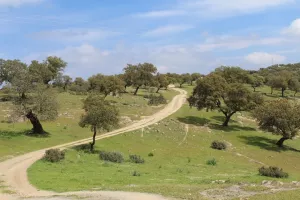 Dehesa ganadera y recreo en Jaén Ref. 1524