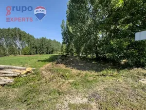 VENTA DE FINCA RÚSTICA CON REGADÍO